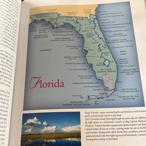 Coffee Table Book Florida The Natural Wonders Hardcover 1997 EUC Large Jacket - Picture 16 of 16